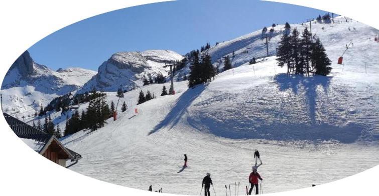 Studio Pied Des Pistes วียาร์-เดอ-ล็อง ภายนอก รูปภาพ