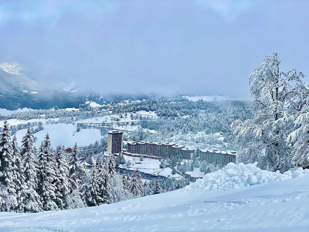 Studio Pied Des Pistes วียาร์-เดอ-ล็อง ภายนอก รูปภาพ